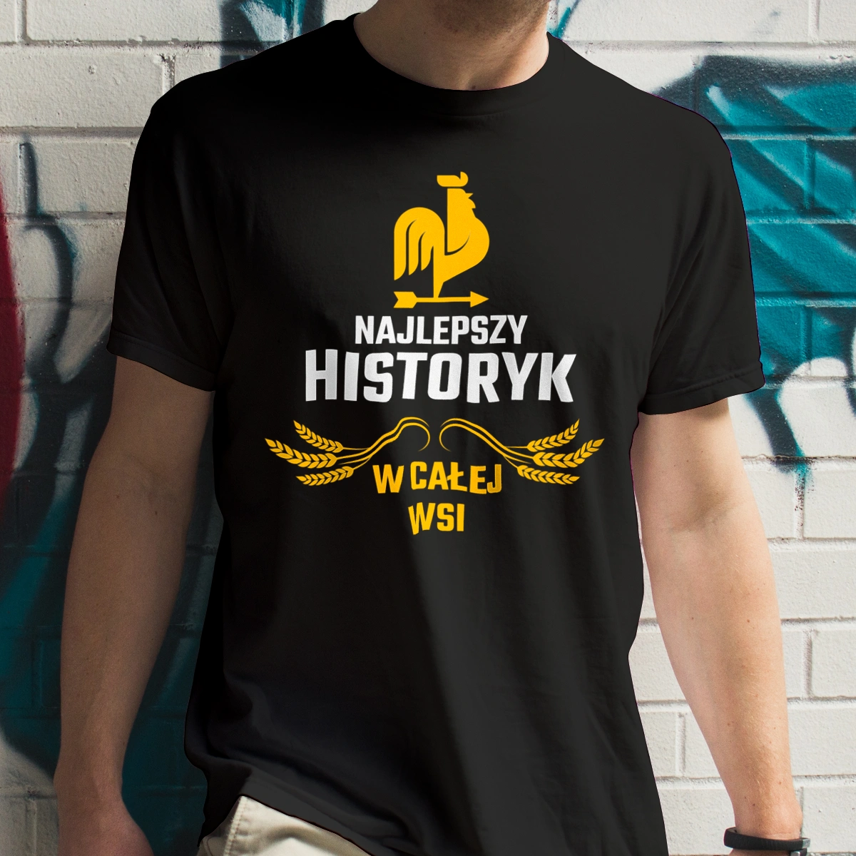 Najlepszy historyk w całej wsi - Męska Koszulka Czarna