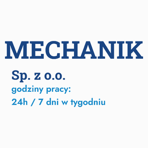 Mechanik Sp. Z O.o. Godziny Pracy - Poduszka Biała