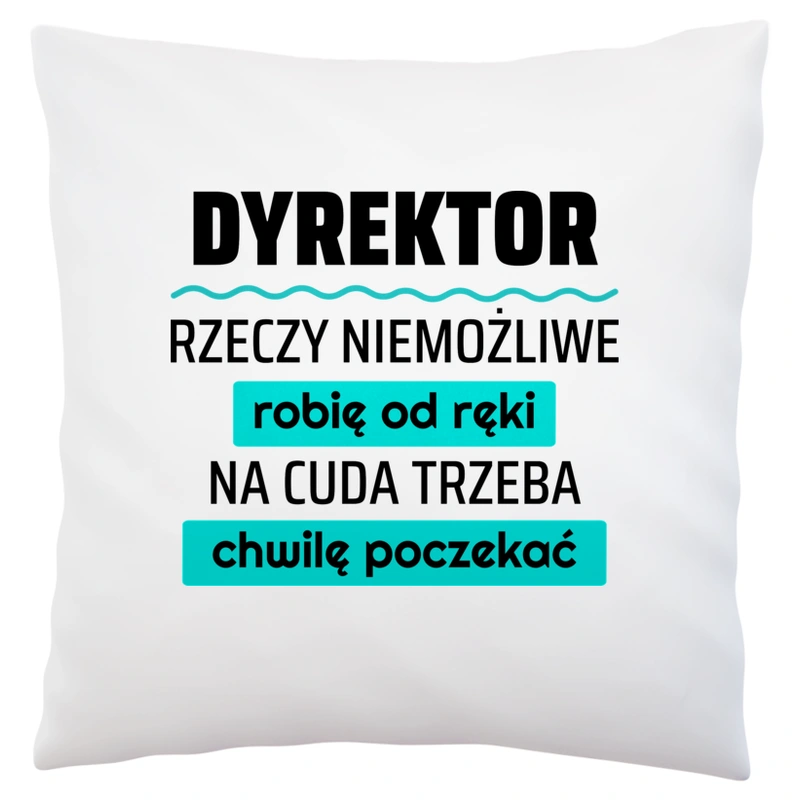 Dyrektor - Rzeczy Niemożliwe Robię Od Ręki - Na Cuda Trzeba Chwilę Poczekać - Poduszka Biała