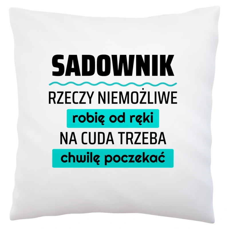 Sadownik - Rzeczy Niemożliwe Robię Od Ręki - Na Cuda Trzeba Chwilę Poczekać - Poduszka Biała