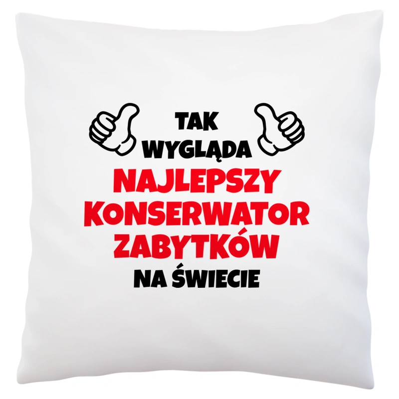 Tak Wygląda Najlepszy Konserwator Zabytków Na Świecie - Poduszka Biała