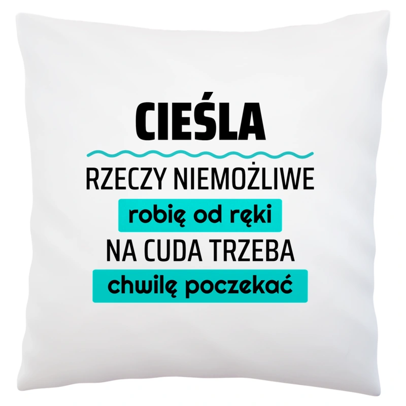 Cieśla - Rzeczy Niemożliwe Robię Od Ręki - Na Cuda Trzeba Chwilę Poczekać - Poduszka Biała